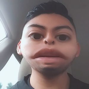 Meet your Posher, Oscar